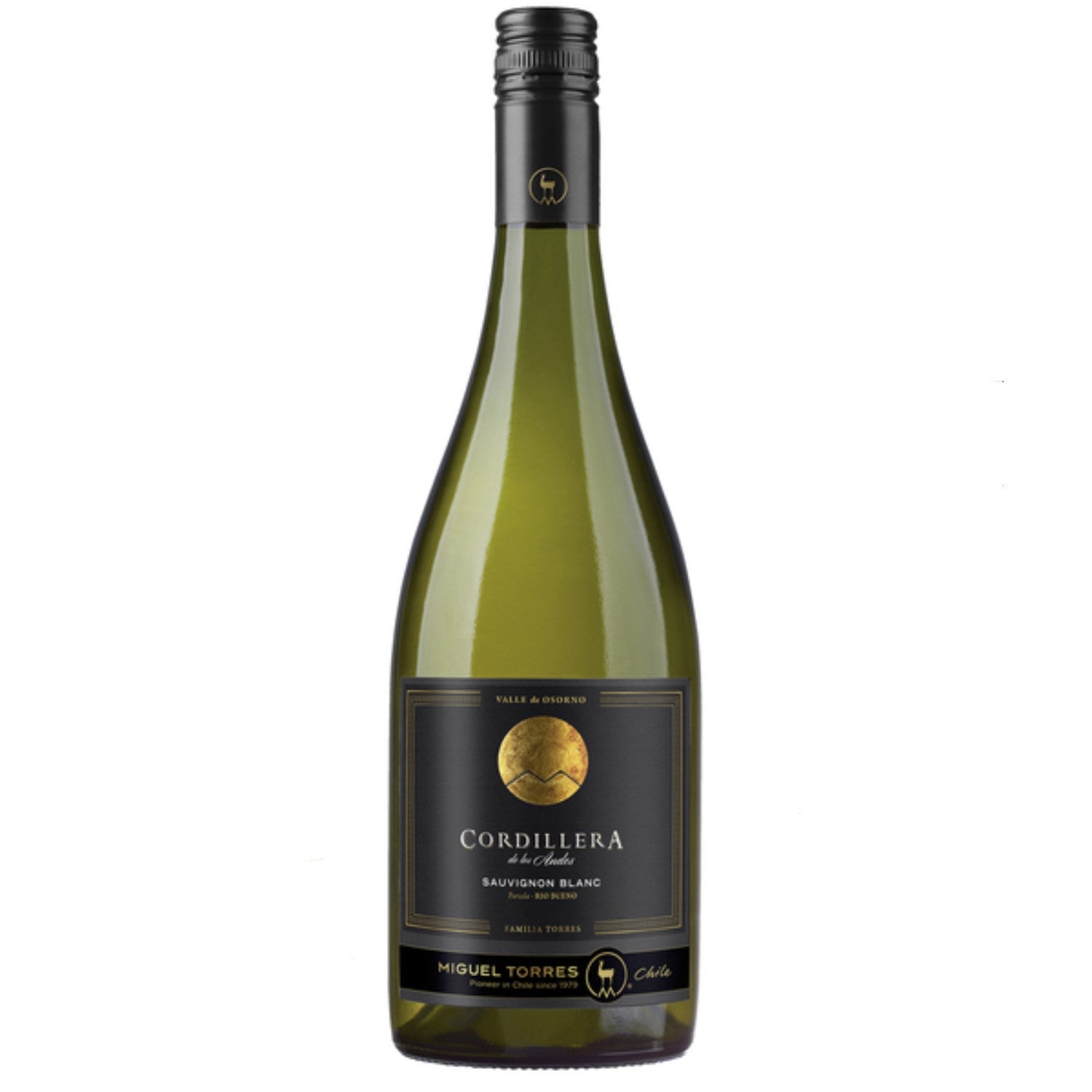 Miguel Torres Cordillera Sauvignon Blanc Elqui Valley Weißwein Wein Trocken Chile (3 x 0.75l) - Versanel -