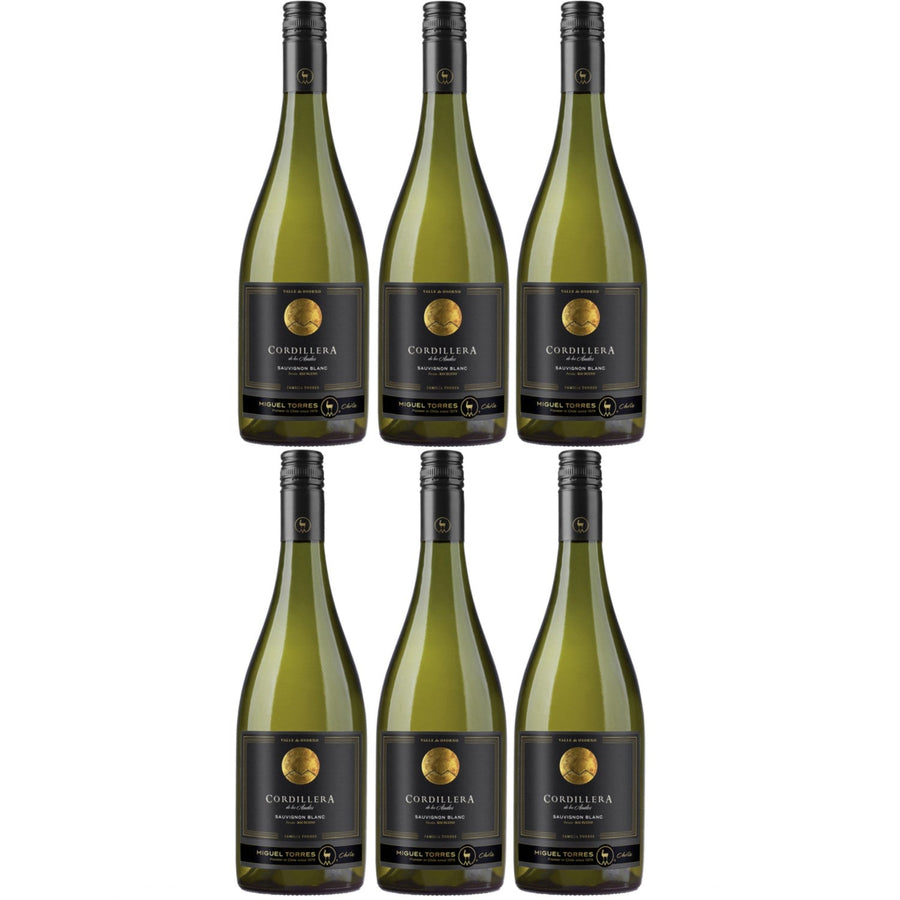 Miguel Torres Cordillera Sauvignon Blanc Elqui Valley Weißwein Wein Trocken Chile (6 x 0.75l) - Versanel -