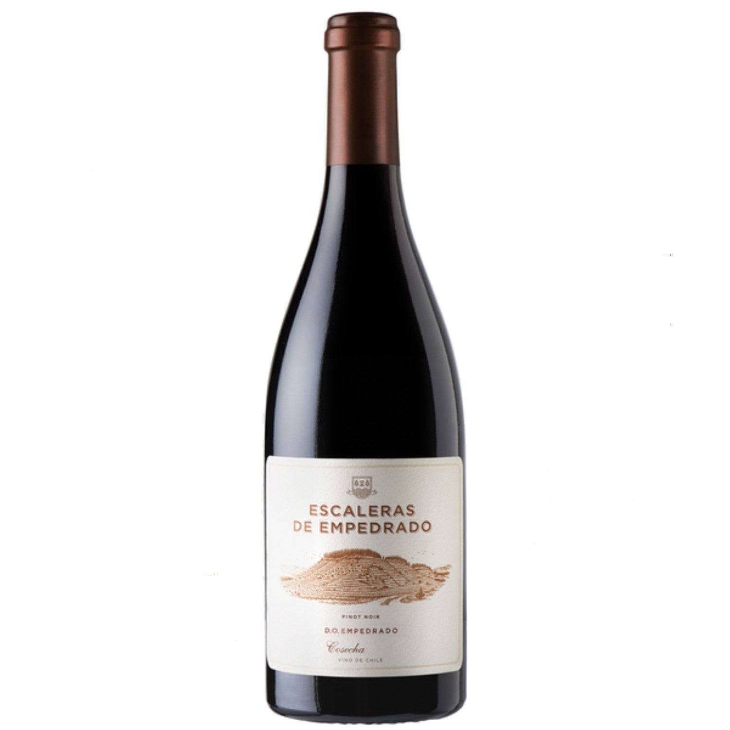 Miguel Torres Escaleras de Empedrado Rotwein Wein Trocken Chile (6 x 0,75l) - Versanel -