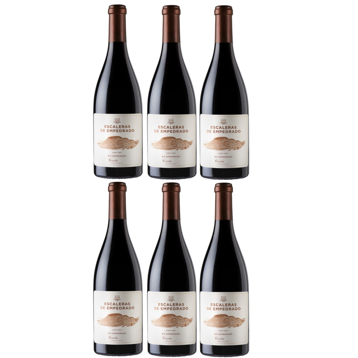 Miguel Torres Escaleras de Empedrado Rotwein Wein Trocken Chile (6 x 0,75l) - Versanel -