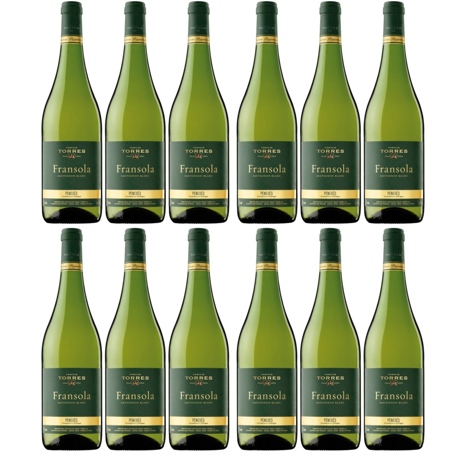 Miguel Torres Fransola Sauvignon Blanc D.O. Weißwein Wein Trocken Spanien (12 x 0.75l) - Versanel -