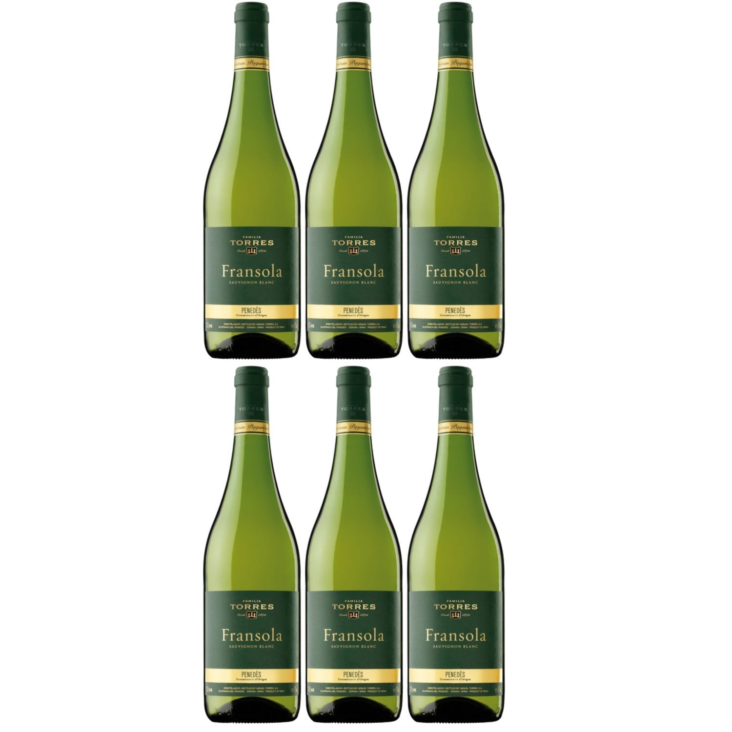 Miguel Torres Fransola Sauvignon Blanc D.O. Weißwein Wein Trocken Spanien (6 x 0.75l) - Versanel -