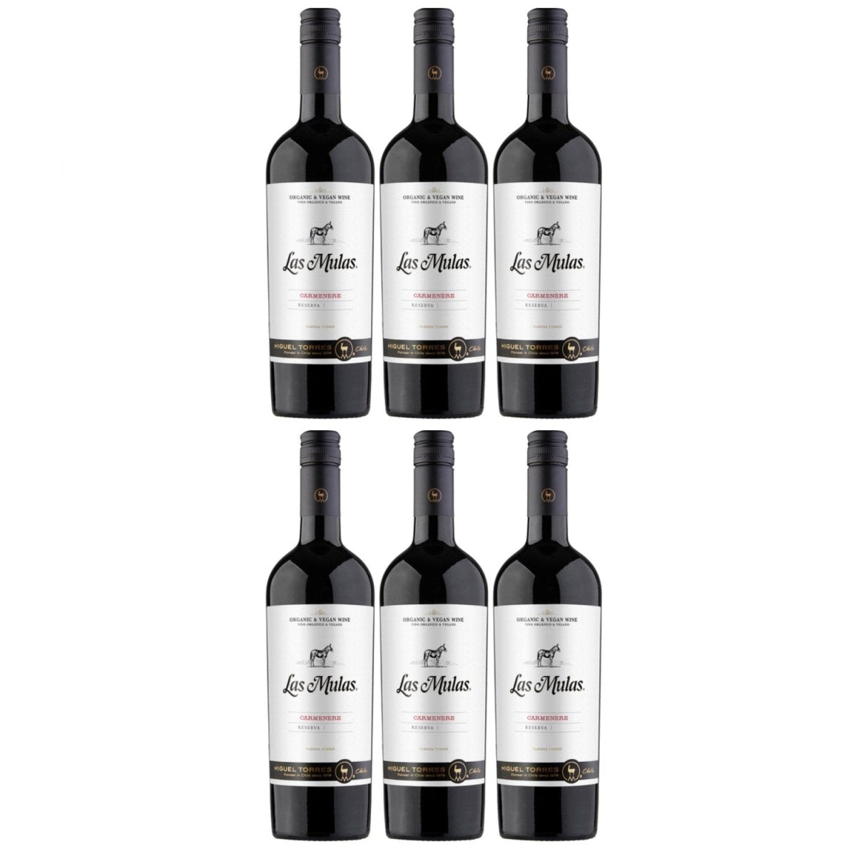 Miguel Torres Las Mulas Reserva Cabernet Sauvignon Rotwein Bio Wein Trocken Chile (6 x 0.75l) - Versanel -