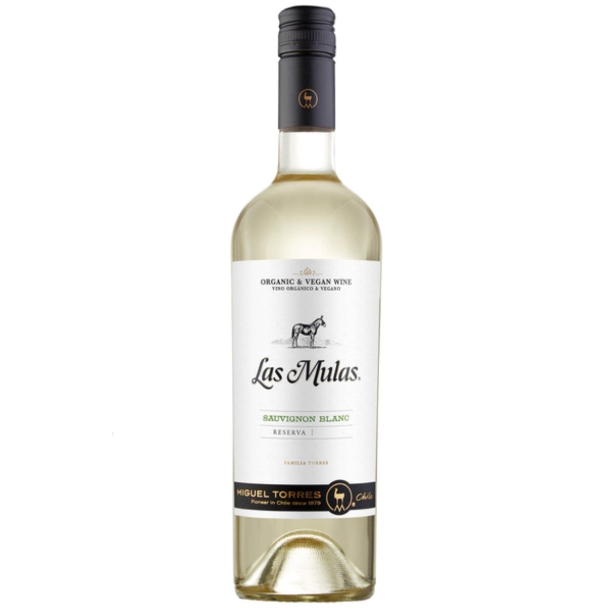 Miguel Torres Las Mulas Sauvignon Blanc Weißwein Bio Wein Halbtrocken Chile (12 x 0.75l) - Versanel -