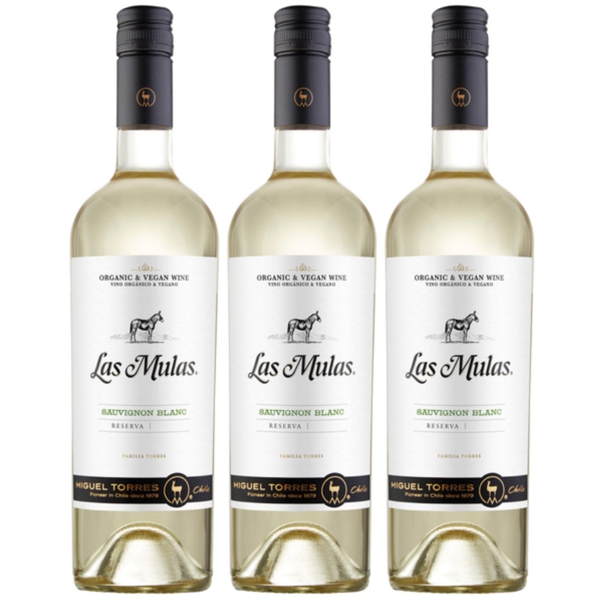 Miguel Torres Las Mulas Sauvignon Blanc Weißwein Bio Wein Halbtrocken Chile (3 x 0.75l) - Versanel -