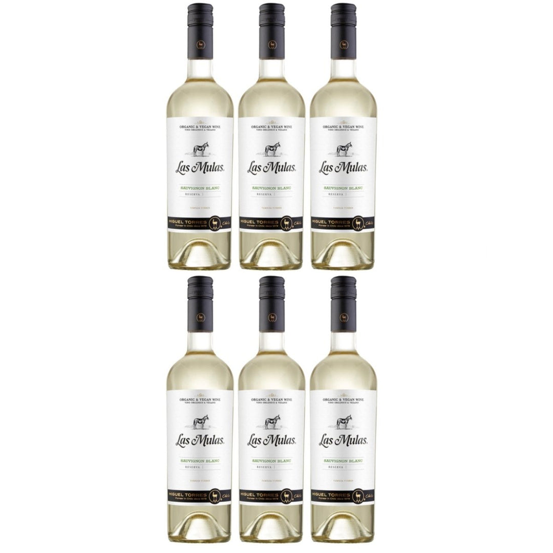 Miguel Torres Las Mulas Sauvignon Blanc Weißwein Bio Wein Halbtrocken Chile (6 x 0.75l) - Versanel -