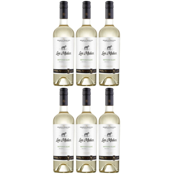 Miguel Torres Las Mulas Sauvignon Blanc Weißwein Bio Wein Halbtrocken Chile (6 x 0.75l) - Versanel -