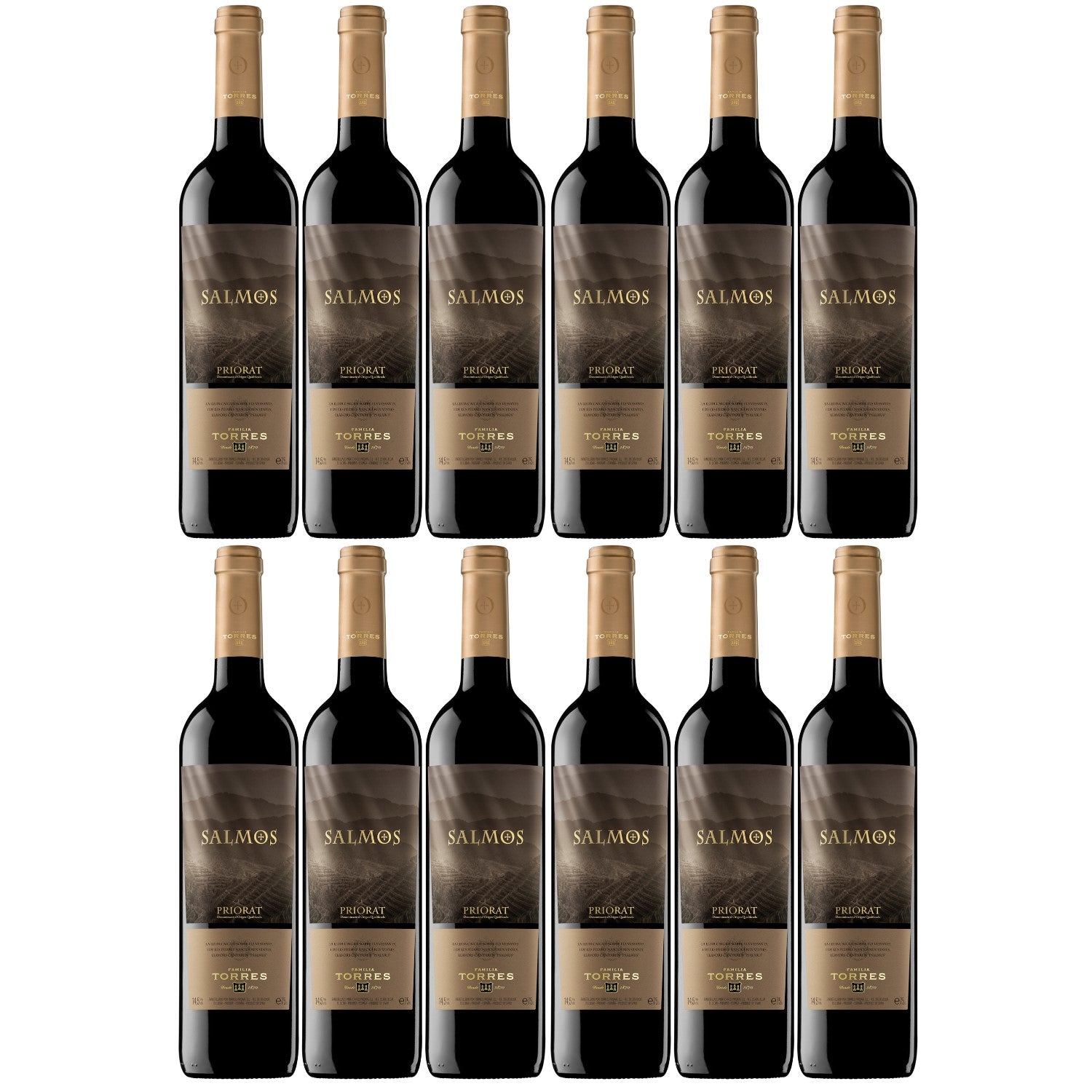 Miguel Torres Salmos DO Priorat Rotwein Wein Trocken Spanien I Versanel Paket (12 x 0,75l) - Versanel -