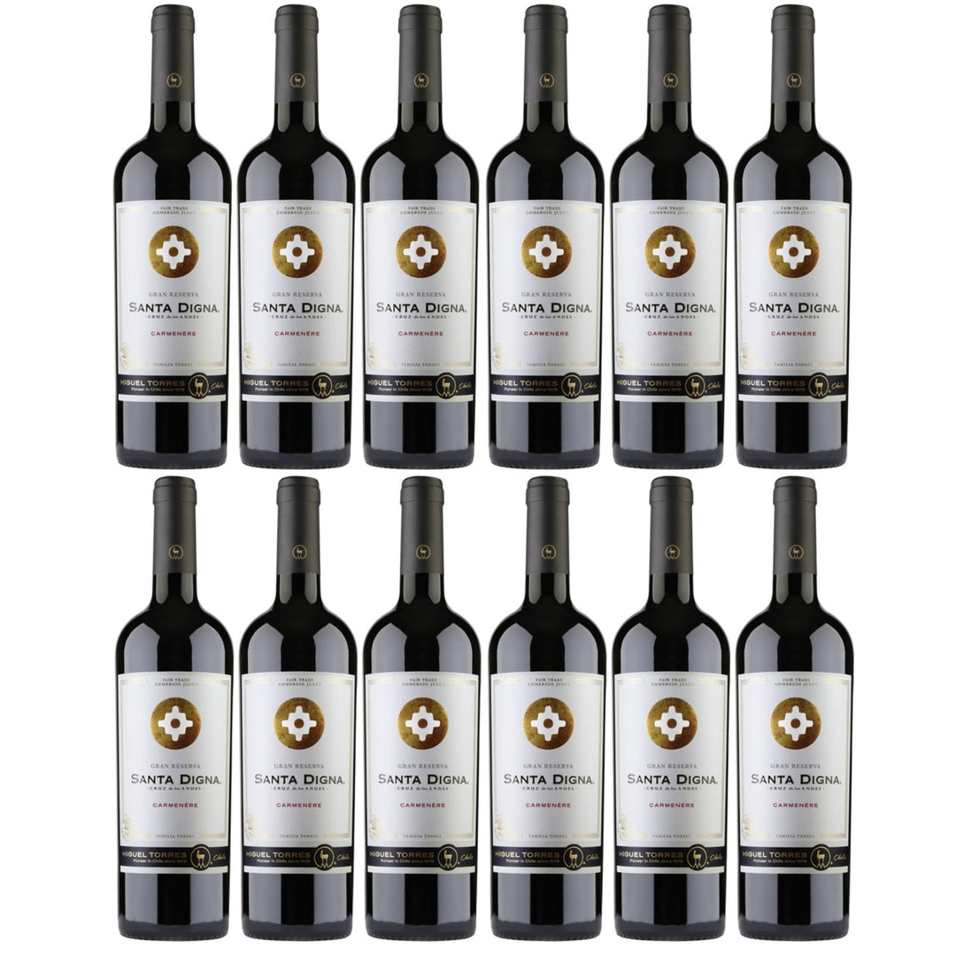 Miguel Torres Santa Digna Gran Reserva Carmenere Rotwein Wein Trocken Chile (12 x 0.75l) - Versanel -