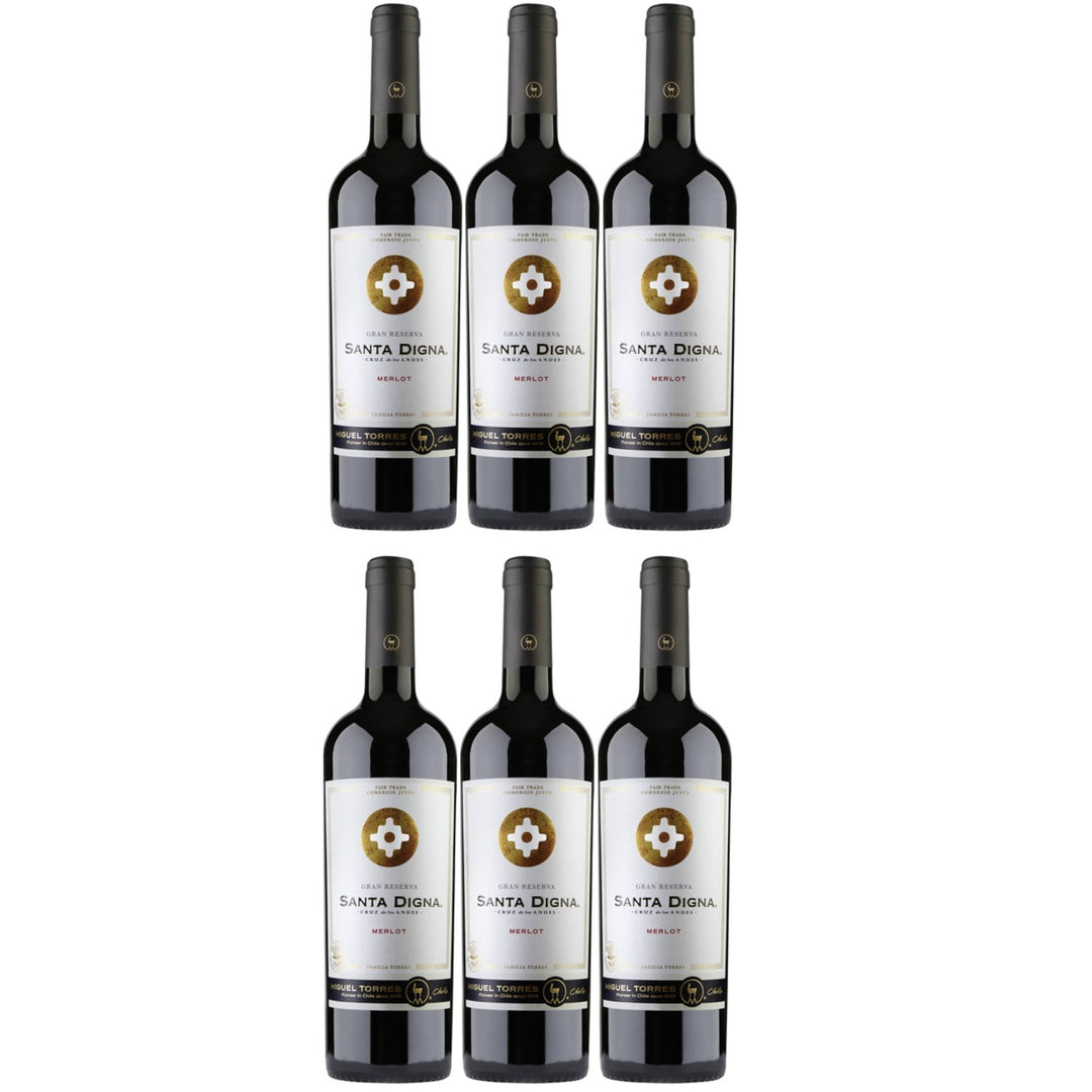 Miguel Torres Santa Digna Gran Reserva Merlot Rotwein Wein Trocken Chile (6 x 0.75l) - Versanel -