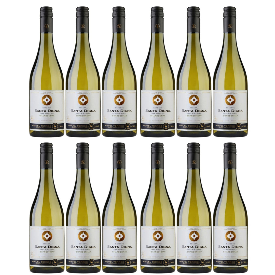 Miguel Torres Santa Digna Reserva Chardonnay Weißwein Wein Halbtrocken Chile (12 x 0.75l) - Versanel -