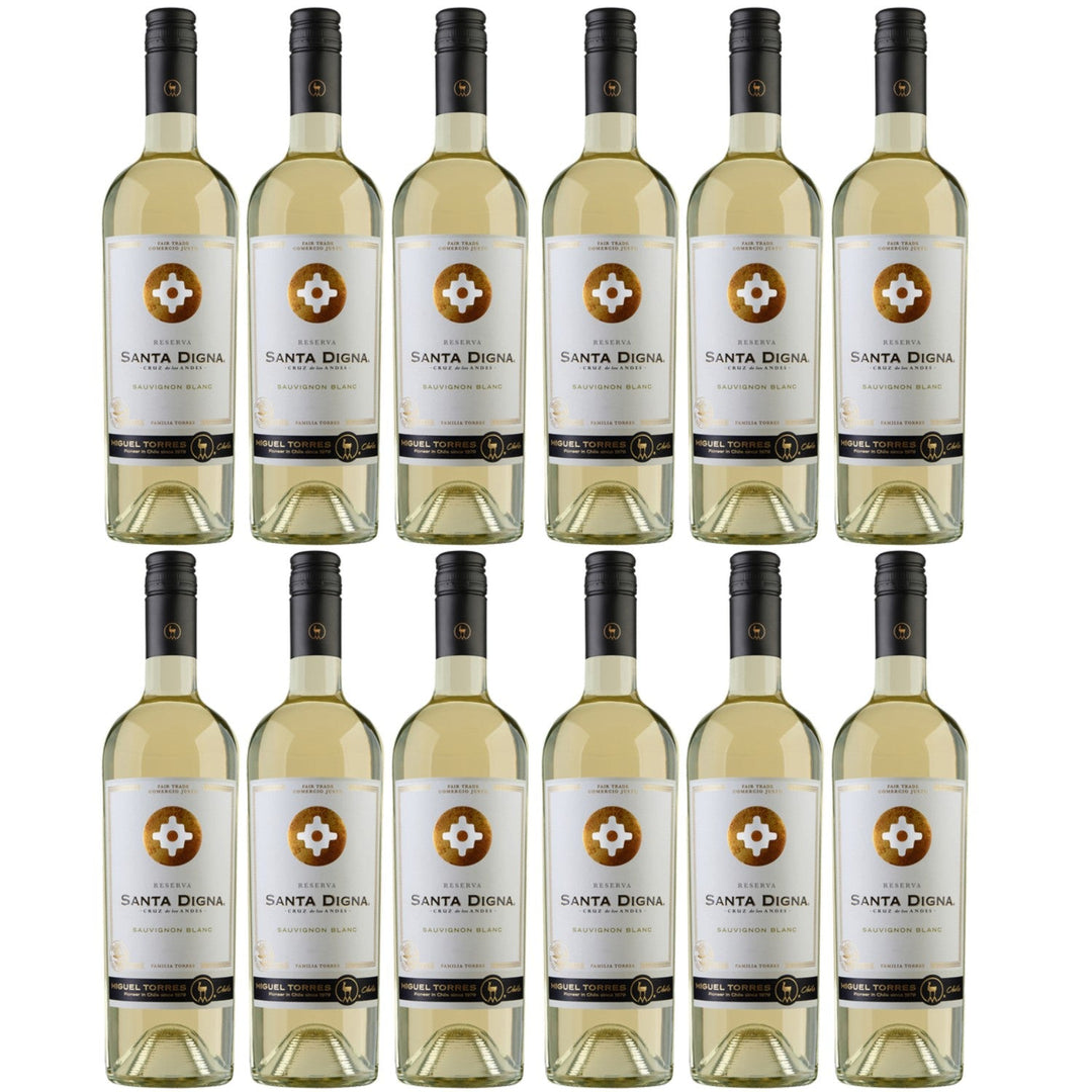 Miguel Torres Santa Digna Reserva Sauvignon Blanc Weißwein Wein Trocken Chile (12 x 0.75l) - Versanel -