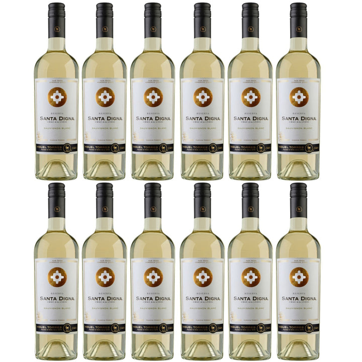 Miguel Torres Santa Digna Reserva Sauvignon Blanc Weißwein Wein Trocken Chile (12 x 0.75l) - Versanel -