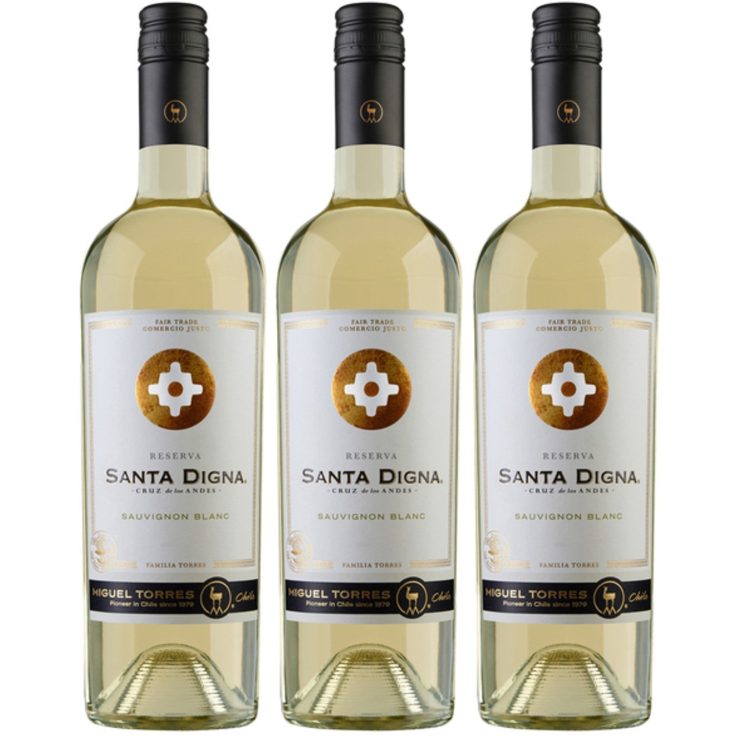 Miguel Torres Santa Digna Reserva Sauvignon Blanc Weißwein Wein Trocken Chile (3 x 0.75l) - Versanel -