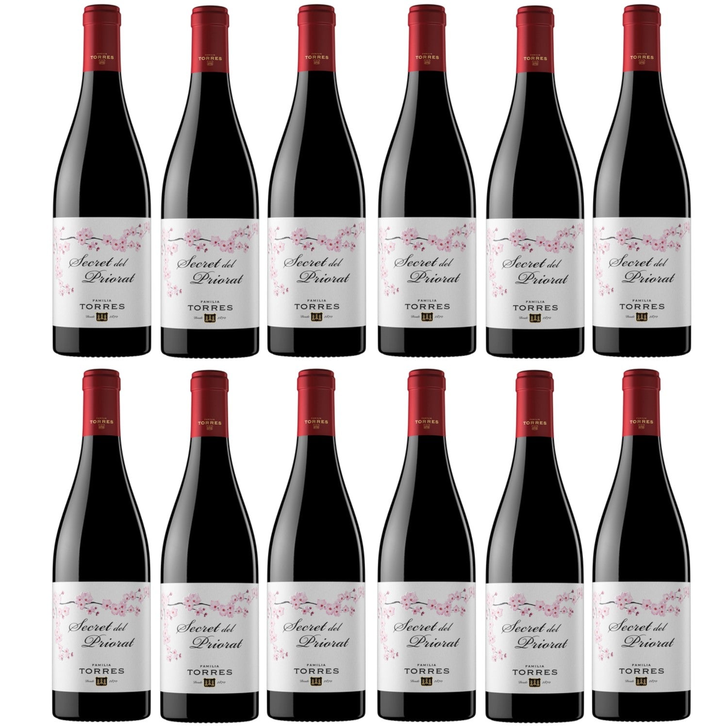 Miguel Torres Secret del Priorat Rotwein Wein Halbtrocken Spanien (12 x 0.75l) - Versanel -