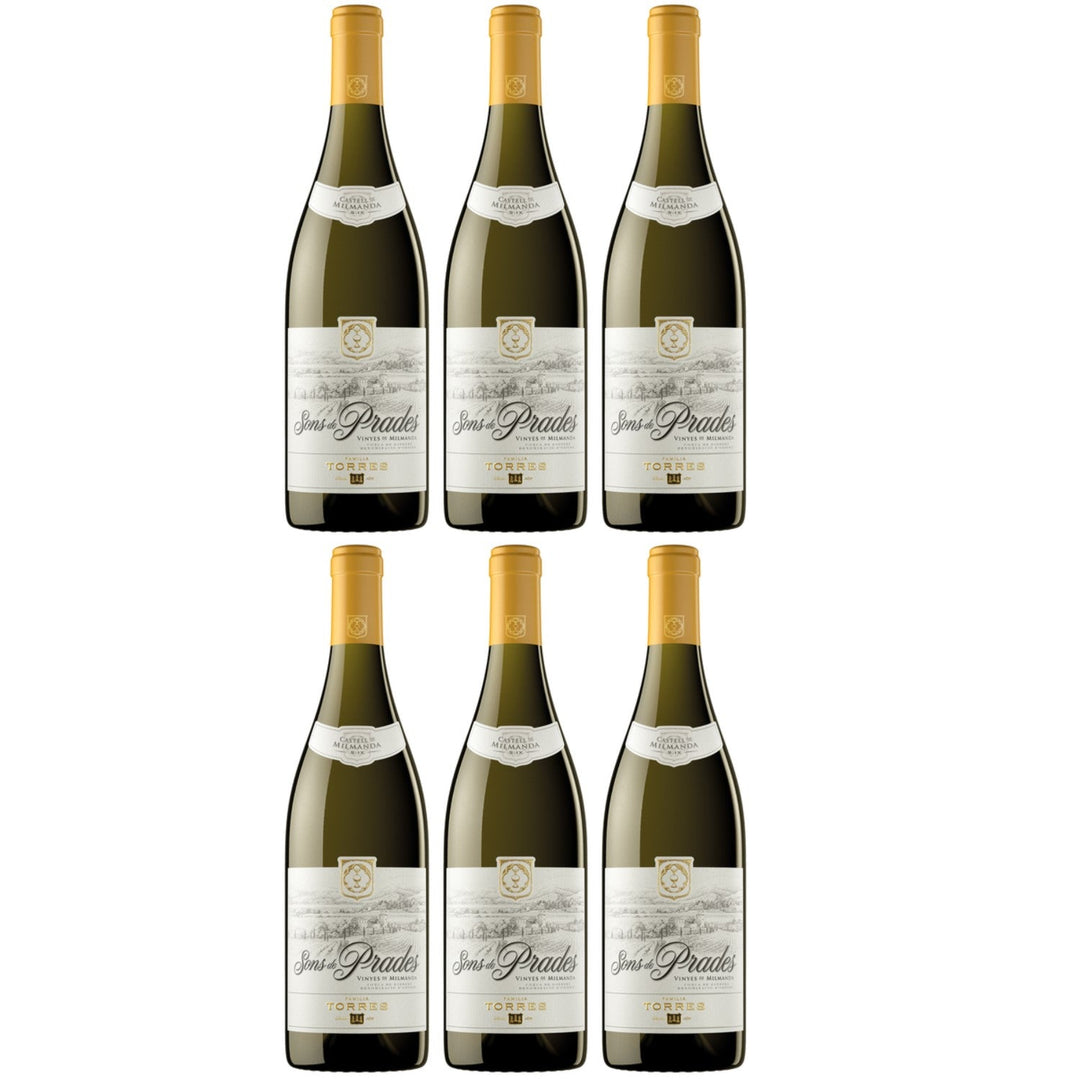 Miguel Torres Sons de Prades D.O. Weißwein Wein Trocken Spanien (6 x 0.75l) - Versanel -