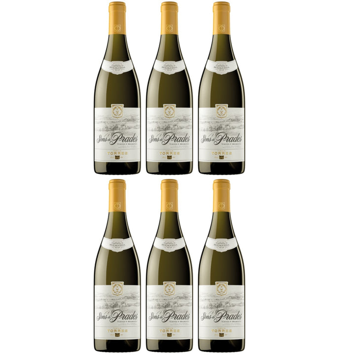 Miguel Torres Sons de Prades D.O. Weißwein Wein Trocken Spanien (6 x 0.75l) - Versanel -