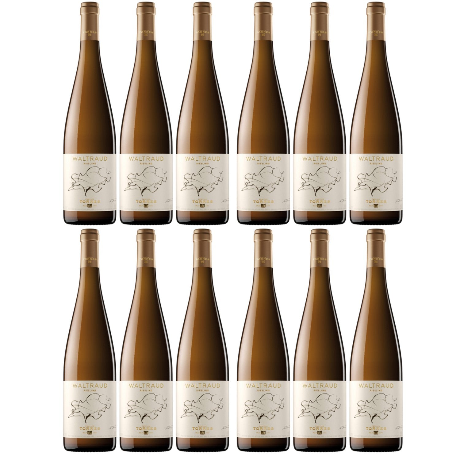 Miguel Torres Waltraud Riesling D.O. Weißwein Wein Trocken Spanien (12 x 0.75l) - Versanel -