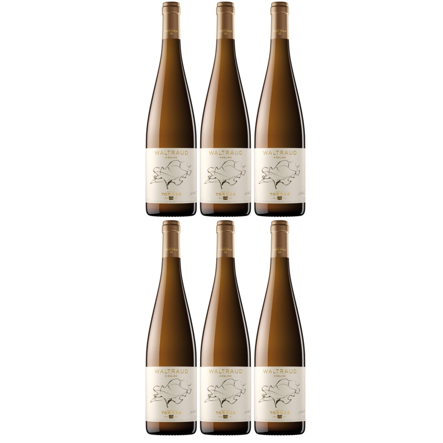Miguel Torres Waltraud Riesling D.O. Weißwein Wein Trocken Spanien (6 x 0.75l) - Versanel -