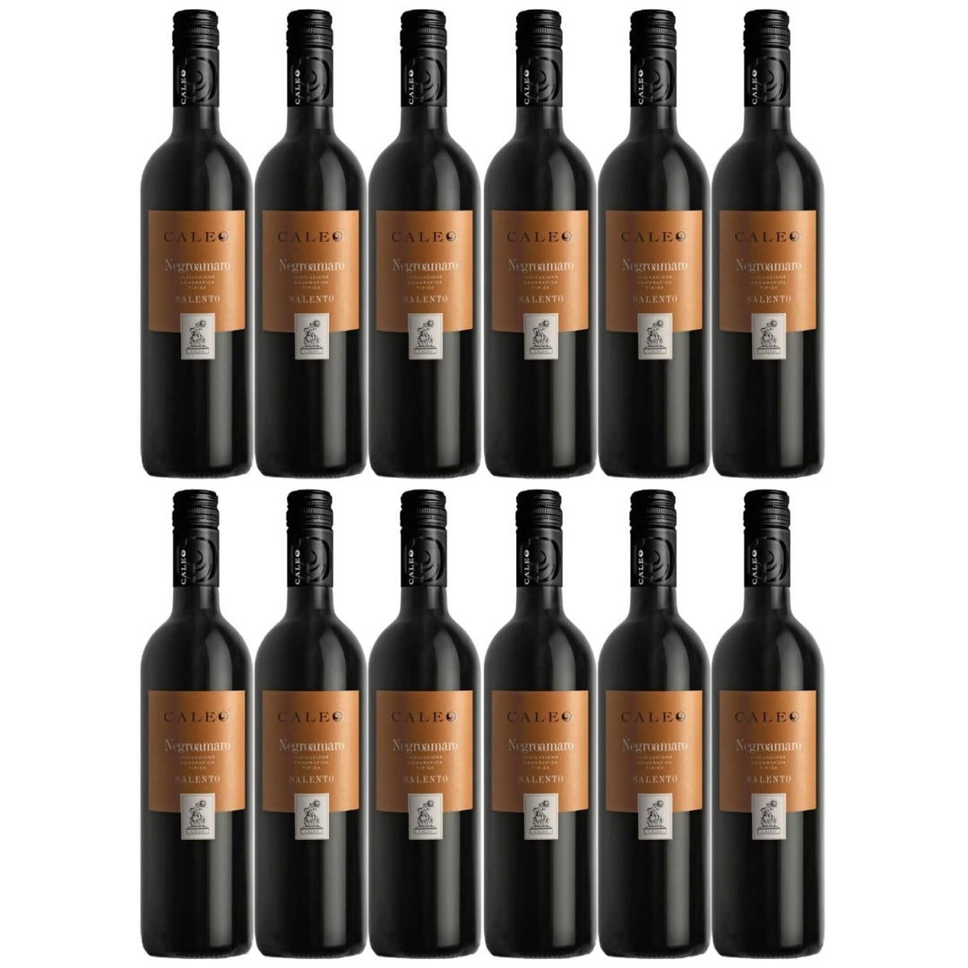 Negroamaro Caleo Salento IGT Rotwein Wein trocken Italien (12 x 0,75l) - Versanel -