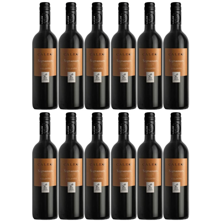Negroamaro Caleo Salento IGT Rotwein Wein trocken Italien (12 x 0,75l) - Versanel -