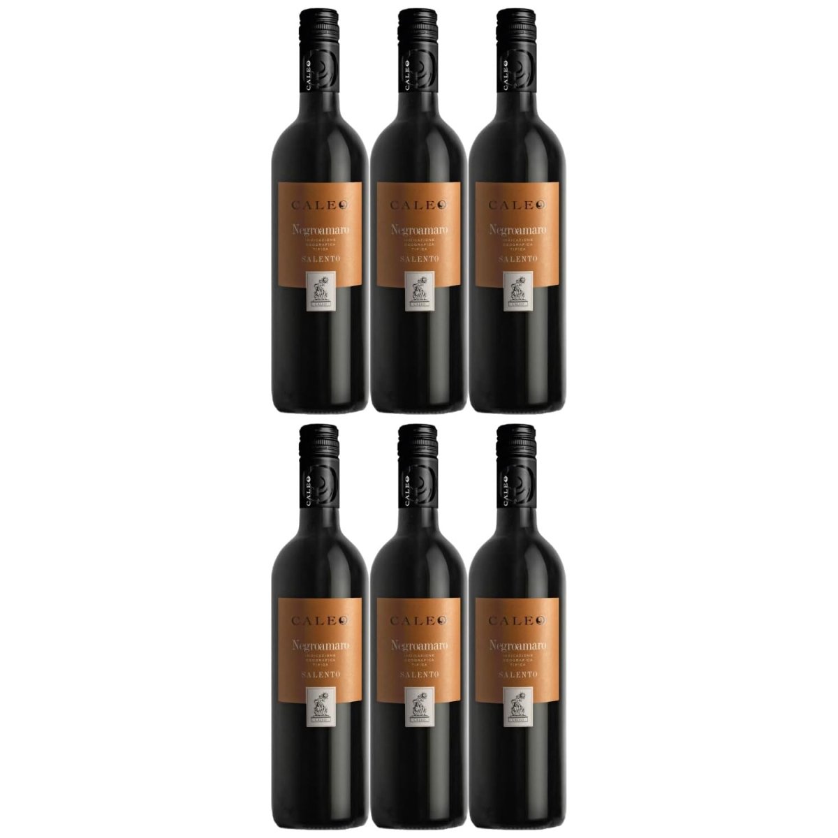 Negroamaro Caleo Salento IGT Rotwein Wein trocken Italien (6 x 0,75l) - Versanel -