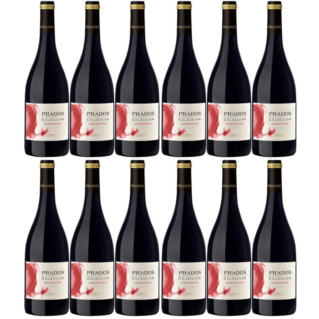 Pagos del Moncayo Prados Colección Garnacha Campo de Borja Rotwein trocken DO Spanien (12 x 0.75l) - Versanel -