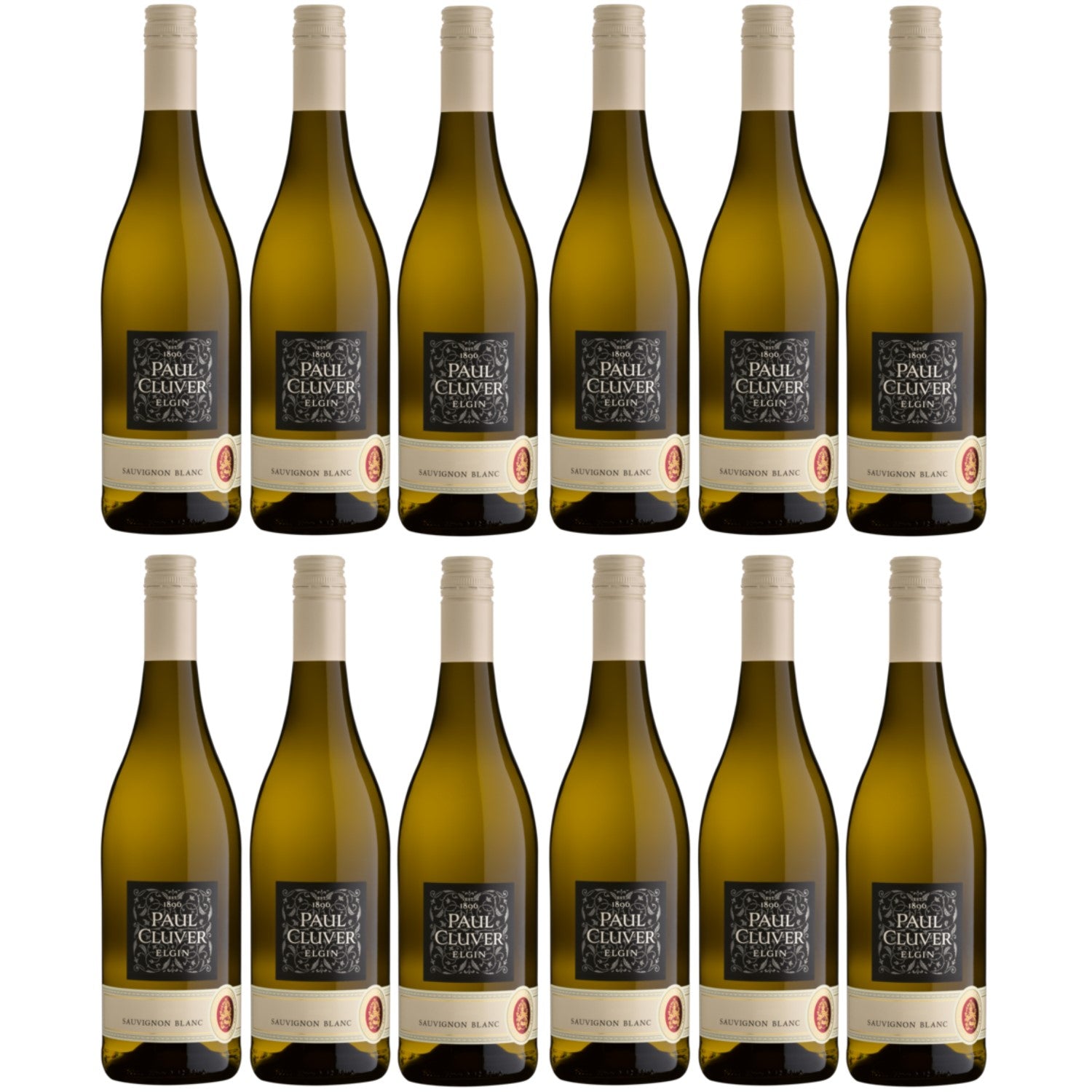 Paul Cluver Sauvignon Blanc Elgin Valley Weißwein Wein trocken Südafrika (12 x 0.75l) - Versanel -