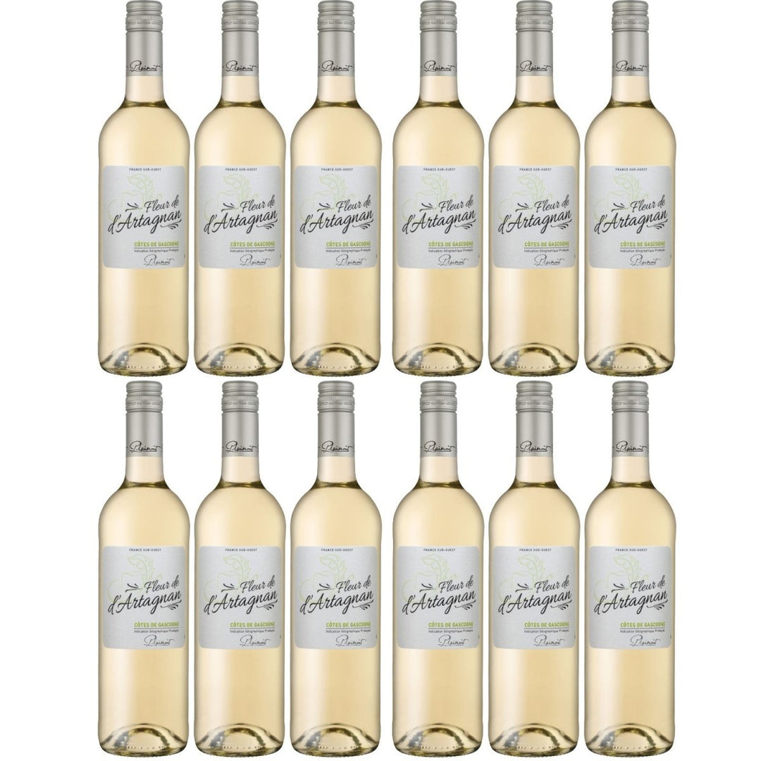 Plaimont Fleur de d'Artagnan Blanc Weißwein Wein trocken Frankreich (12 x 0,75l) - Versanel -