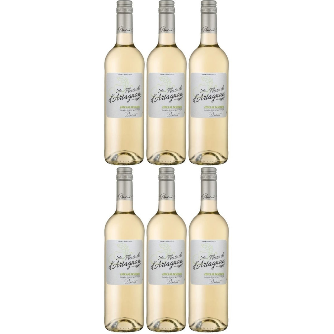 Plaimont Fleur de d'Artagnan Blanc Weißwein Wein trocken Frankreich (6 x 0,75l) - Versanel -