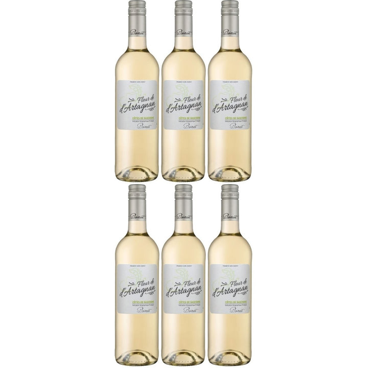 Plaimont Fleur de d'Artagnan Blanc Weißwein Wein trocken Frankreich (6 x 0,75l) - Versanel -