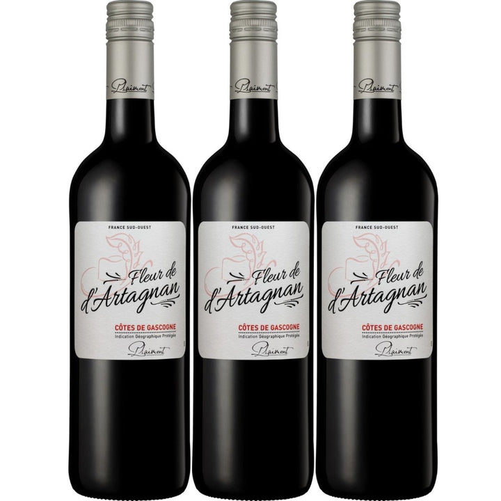 Plaimont Fleur de d'Artagnan Rouge Rotwein Wein trocken Frankreich (3 Flaschen) - Versanel -