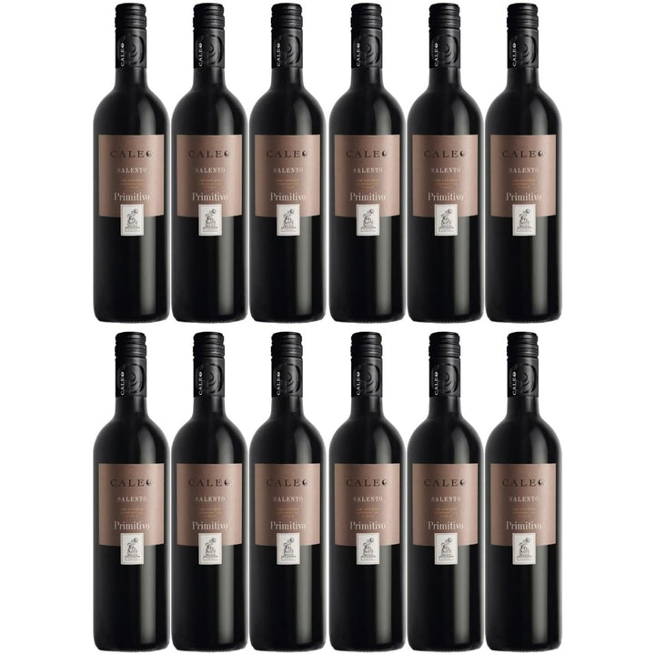 Primitivo Salento Caleo Apulien IGT Rotwein Wein trocken Italien (12 x 0,75l) - Versanel -