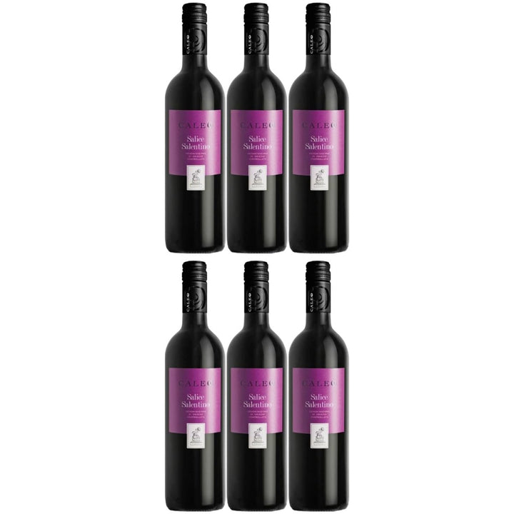 Salice Salentino Caleo Puglia DOC Rotwein Wein trocken Italien (6 x 0,75l) - Versanel -