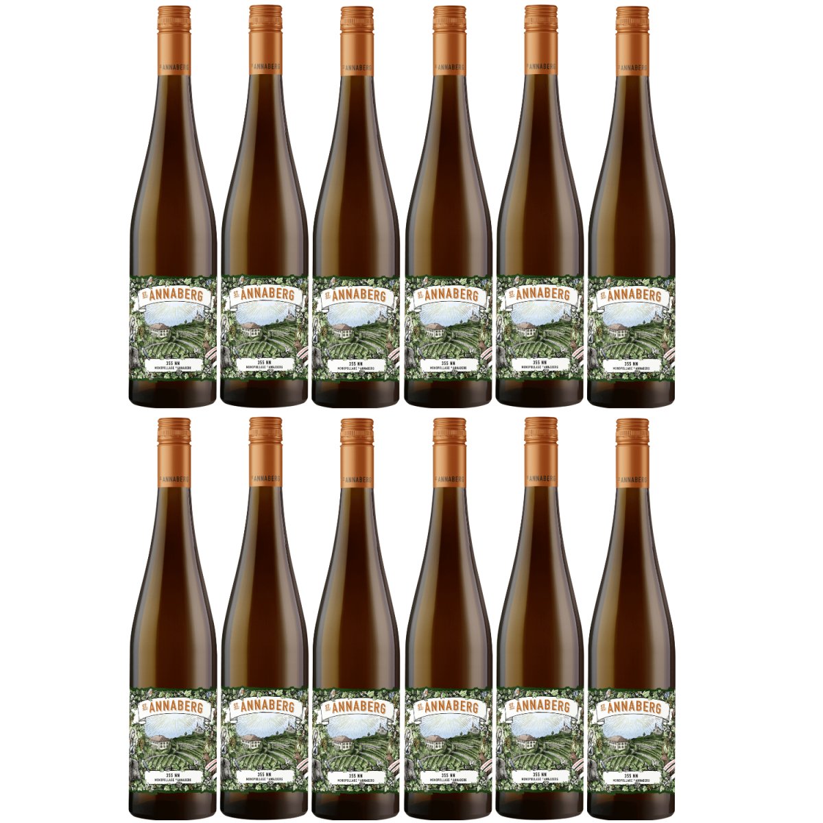 Sankt Annaberg 355 NN Riesling BIO Weißwein Wein feinherb Pfalz (12 x 0,75l) - Versanel -