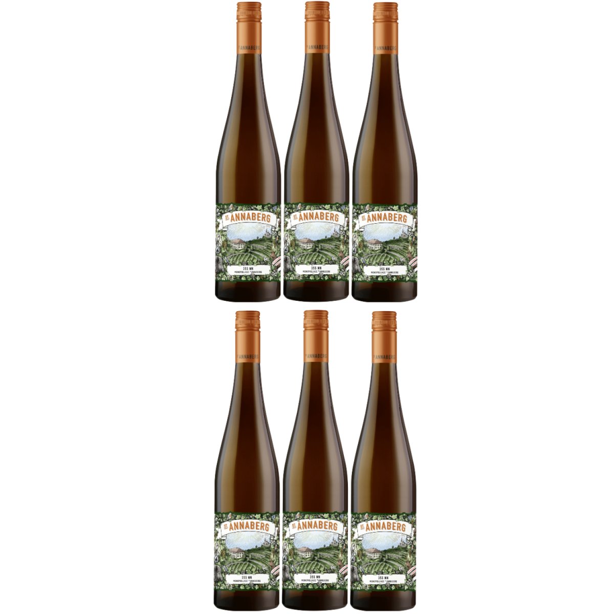 Sankt Annaberg 355 NN Riesling BIO Weißwein Wein feinherb Pfalz (6 x 0,75l) - Versanel -