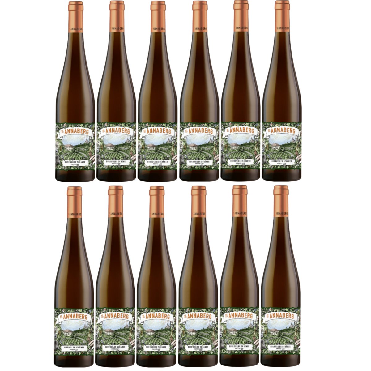 Sankt Annaberg Burweiler Schäwer Grosse Lage Riesling trocken BIO Weißwein Wein Trocken Pfalz (12 x 0,75l) - Versanel -