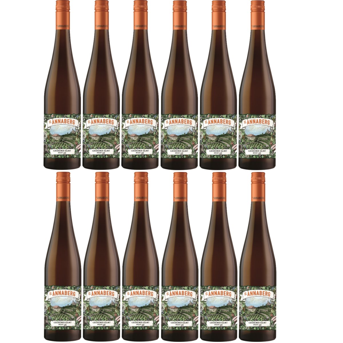 Sankt Annaberg Ilbesheimer Kalmit Grosse Lage Riesling trocken BIO Weißwein Wein Trocken Pfalz (12 x 0,75l) - Versanel -