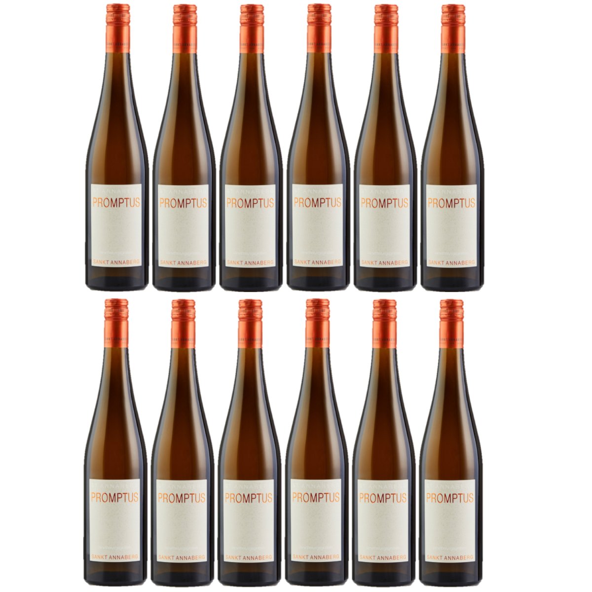 Sankt Annaberg Promptus Spontan aus dem Tonneaux Riesling trocken BIO Weißwein Wein Feinherb Pfalz (12 x 0,75l) - Versanel -