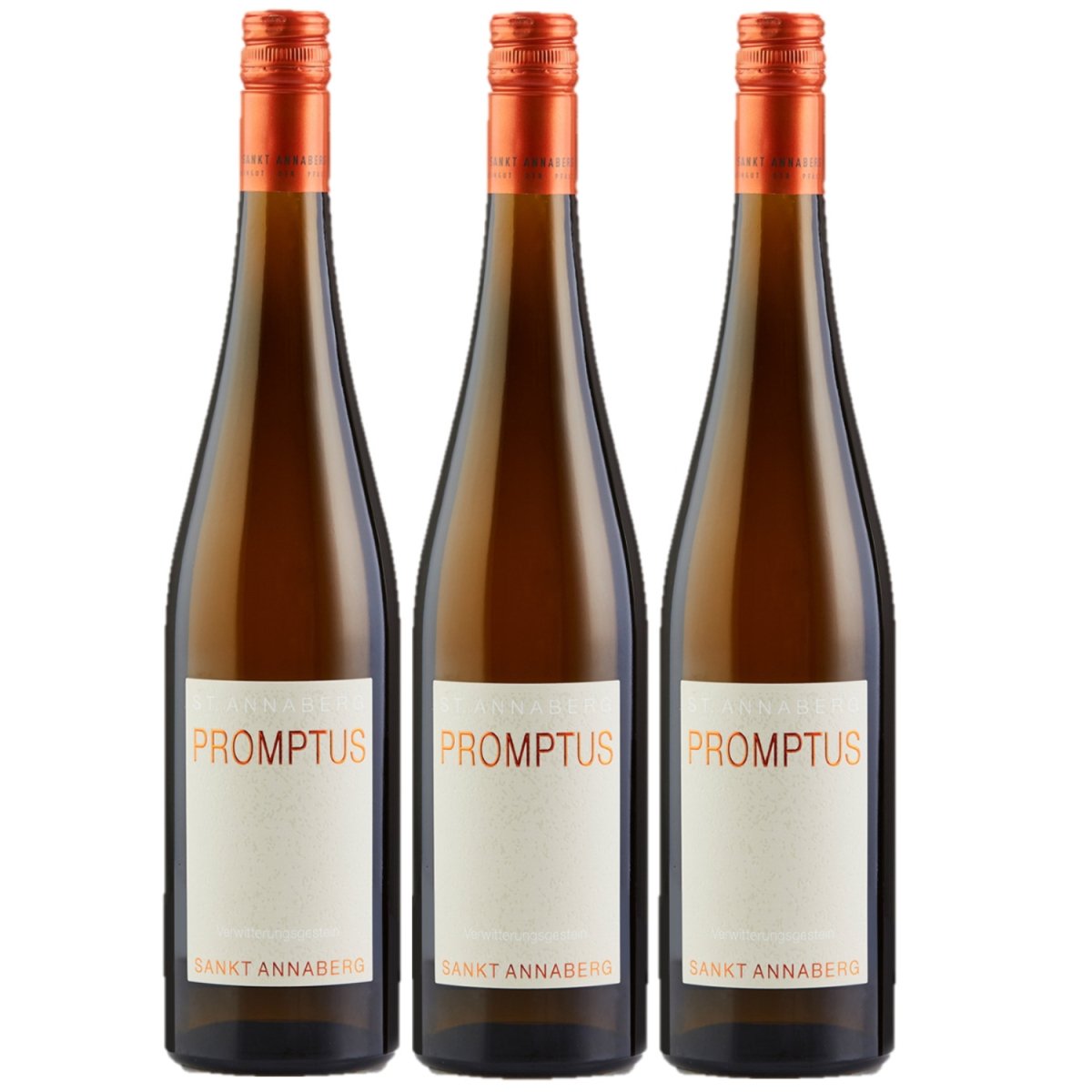 Sankt Annaberg Promptus Spontan aus dem Tonneaux Riesling trocken BIO Weißwein Wein Feinherb Pfalz (3 x 0,75l) - Versanel -