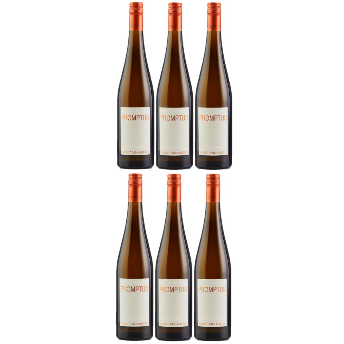 Sankt Annaberg Promptus Spontan aus dem Tonneaux Riesling trocken BIO Weißwein Wein Feinherb Pfalz (6 x 0,75l) - Versanel -