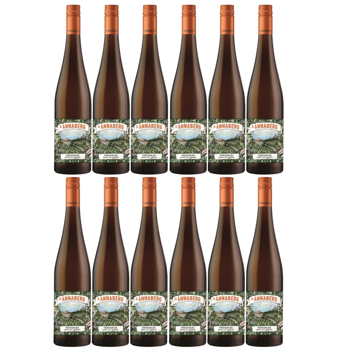 Sankt Annaberg Terrassenlage Monopollage Riesling trocken BIO Weißwein Wein Trocken Pfalz (12 x 0,75l) - Versanel -