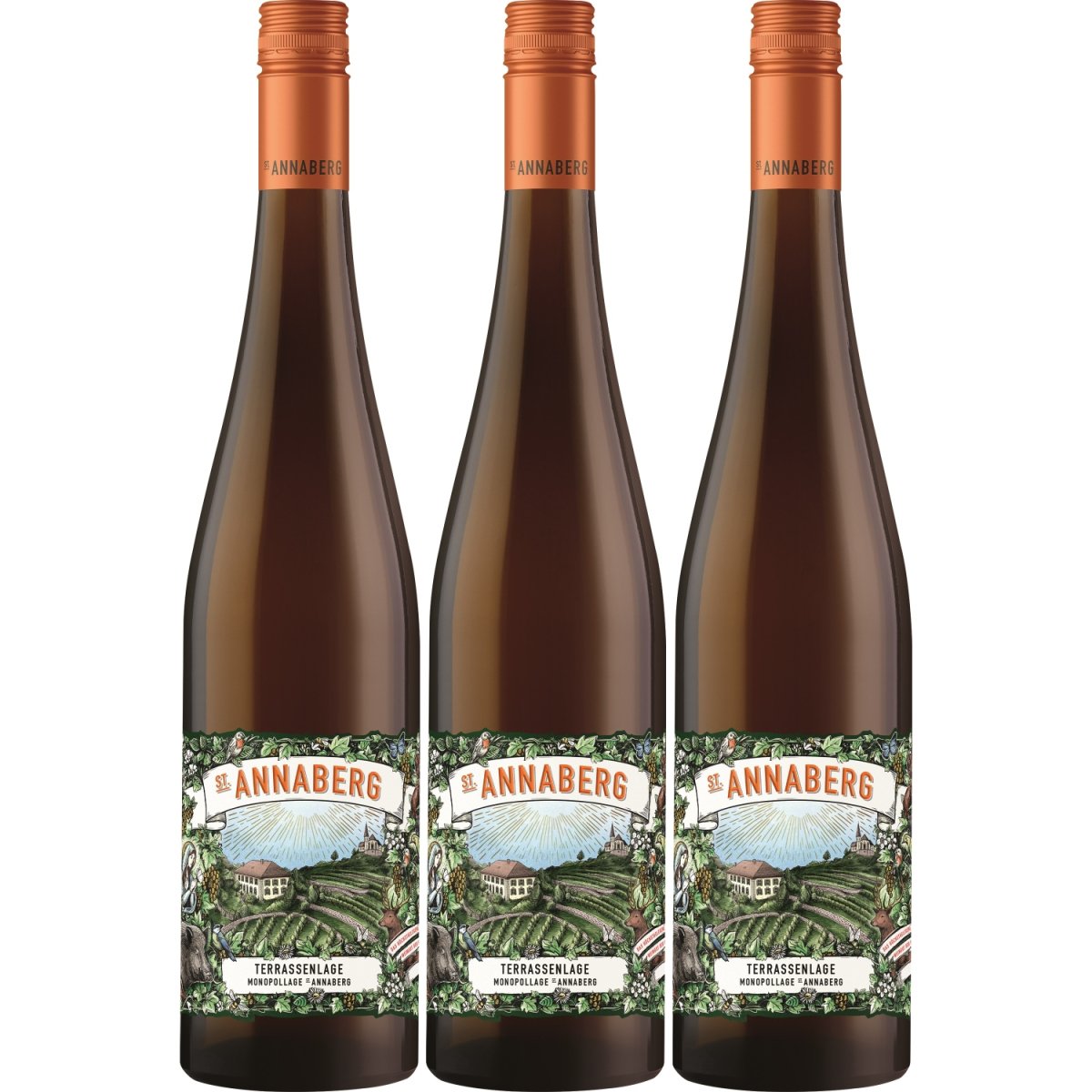 Sankt Annaberg Terrassenlage Monopollage Riesling trocken BIO Weißwein Wein Trocken Pfalz (3 x 0,75l) - Versanel -