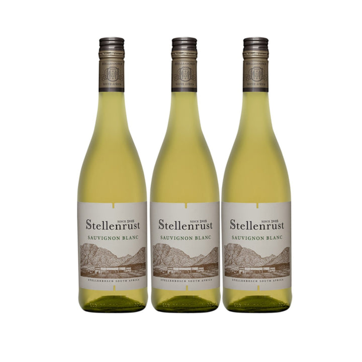 Stellenrust Sauvignon Blanc Stellenbosch Weißwein südafrikanischer Wein trocken (3 x 0.75l) - Versanel -