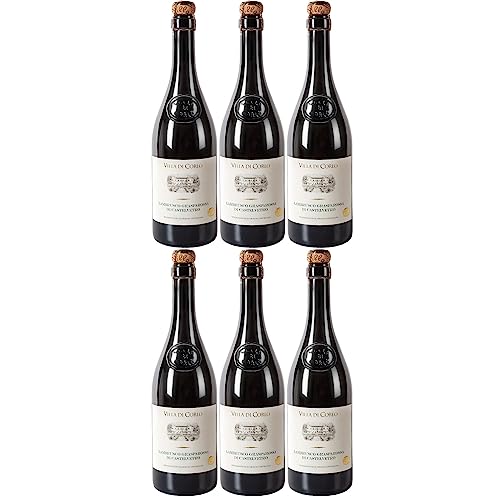 Villa di Corlo Lambrusco Grasparossa di Castelvetro Secco DOC Rotwein Wein Trocken Italien (6 x 0,75l) - Versanel -