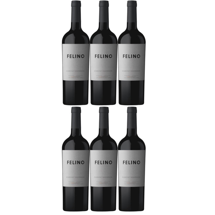 Vina Cobos Felino Cabernet Sauvignon Mendoza Rotwein Wein vegan trocken Argentinien (6 x 0.75l) - Versanel -