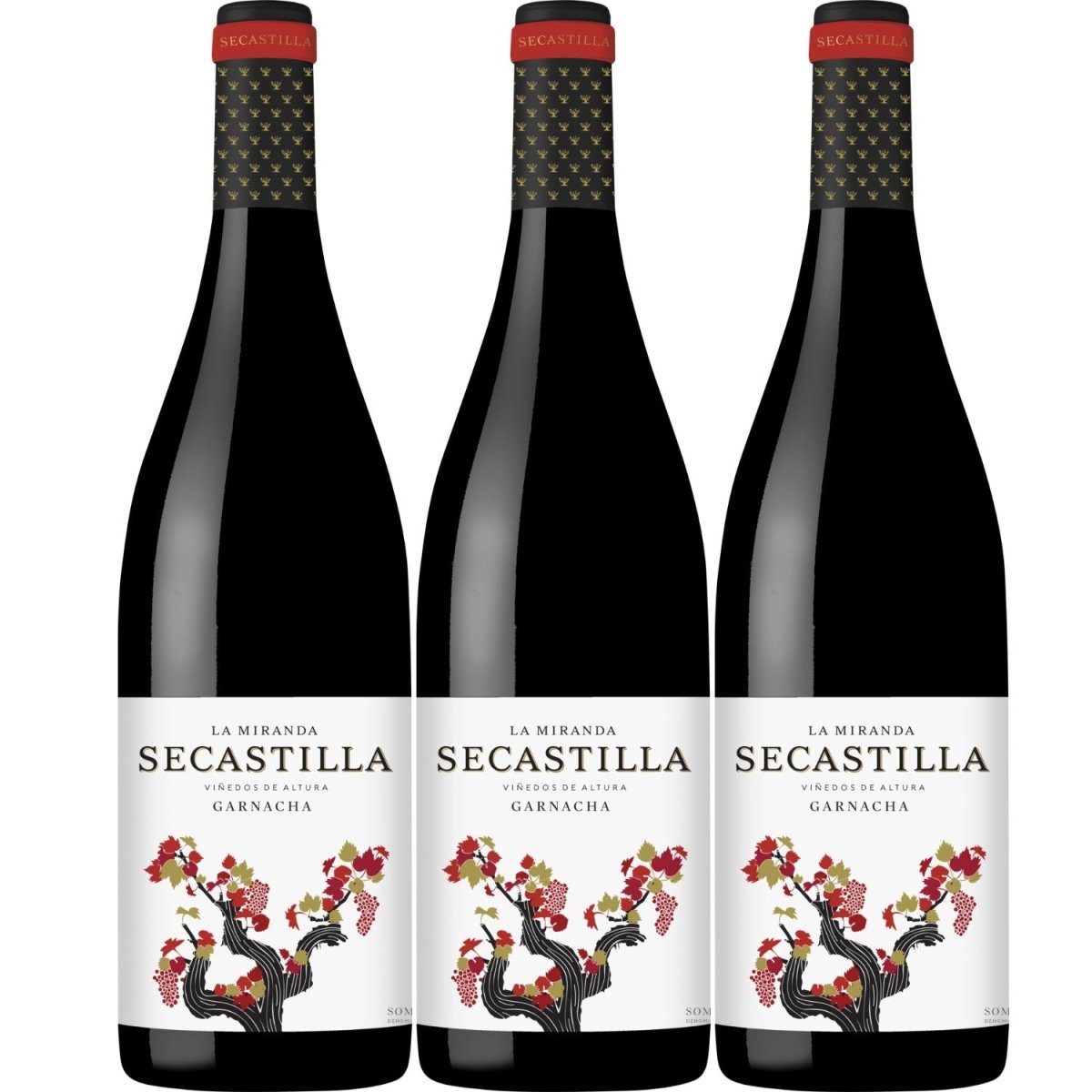 Viñas del Vero La Miranda de Secastilla Garnacha Tinto Rotwein Wein trocken Somontano Spanien (3 Flaschen) - Versanel -