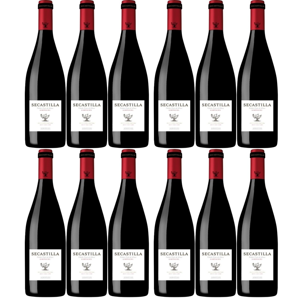 Viñas del Vero Secastilla Rotwein Wein trocken Somontano Spanien (12 Flaschen) - Versanel -