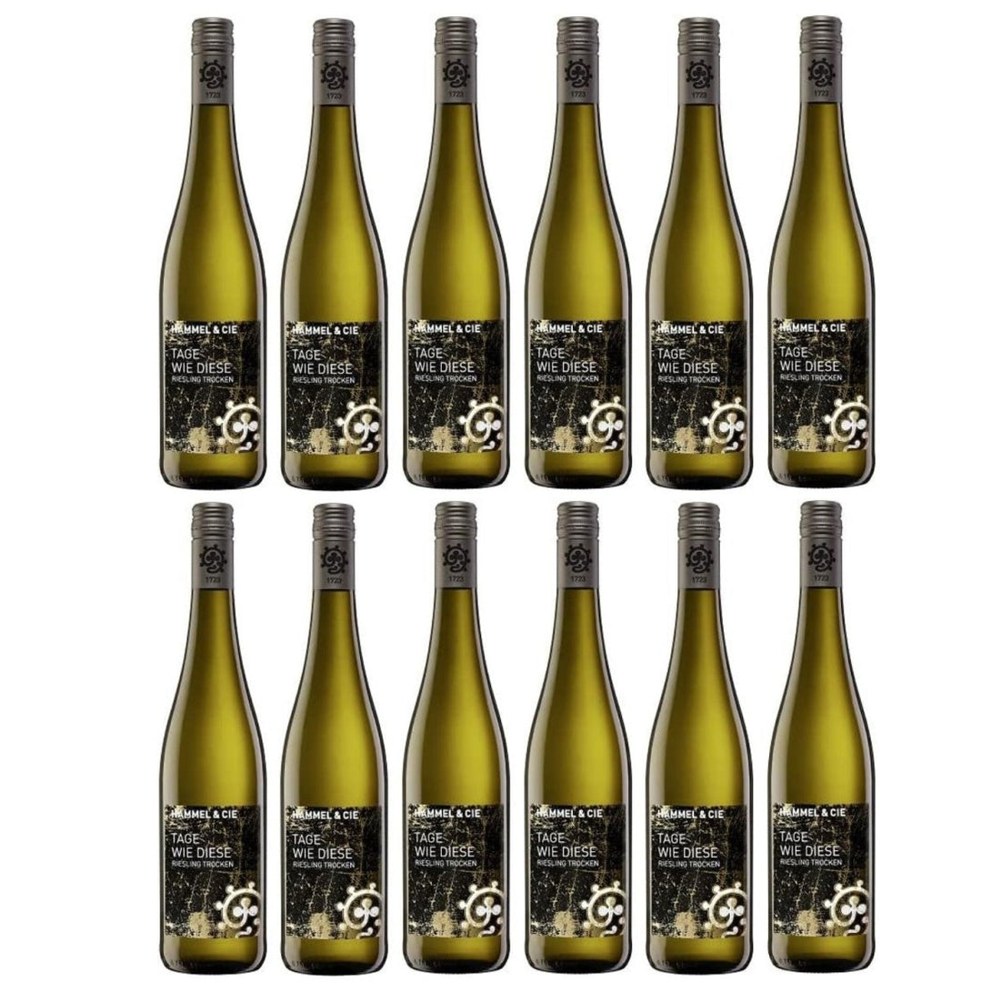 Weingut Hammel "Tage wie diese" Riesling trocken Qualitätswein vegan Weißwein Pfalz Deutschland (12 x 0,75l) - Versanel -