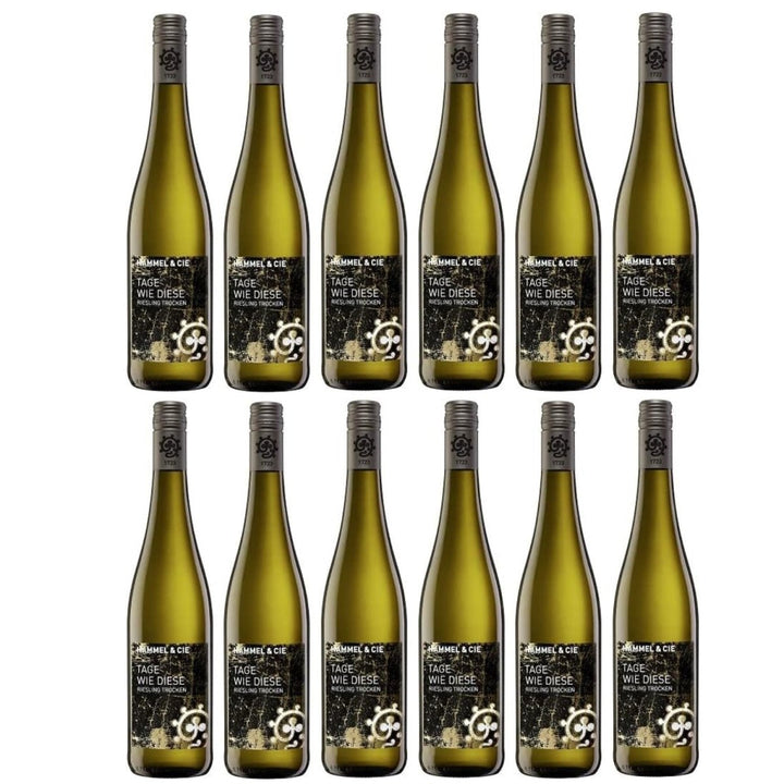 Weingut Hammel "Tage wie diese" Riesling trocken Qualitätswein vegan Weißwein Pfalz Deutschland (12 x 0,75l) - Versanel -